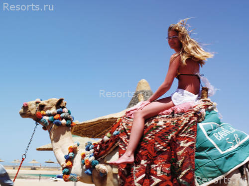 Grand Rotana Resort & Spa 24